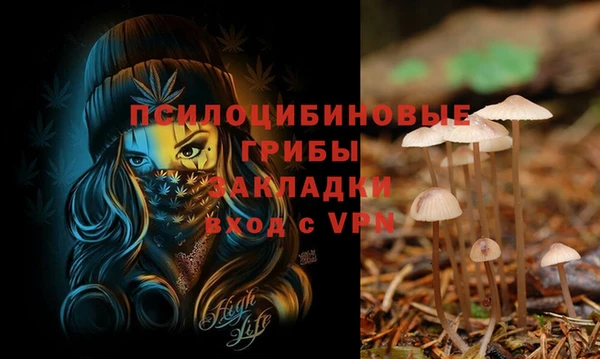 ALPHA PVP Абдулино