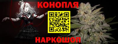 шишки Белореченск