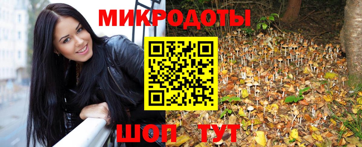 Вичуга  где купить наркотик  Вход с VPN  Галлюциногенные грибы MAGIC MUSHROOMS 