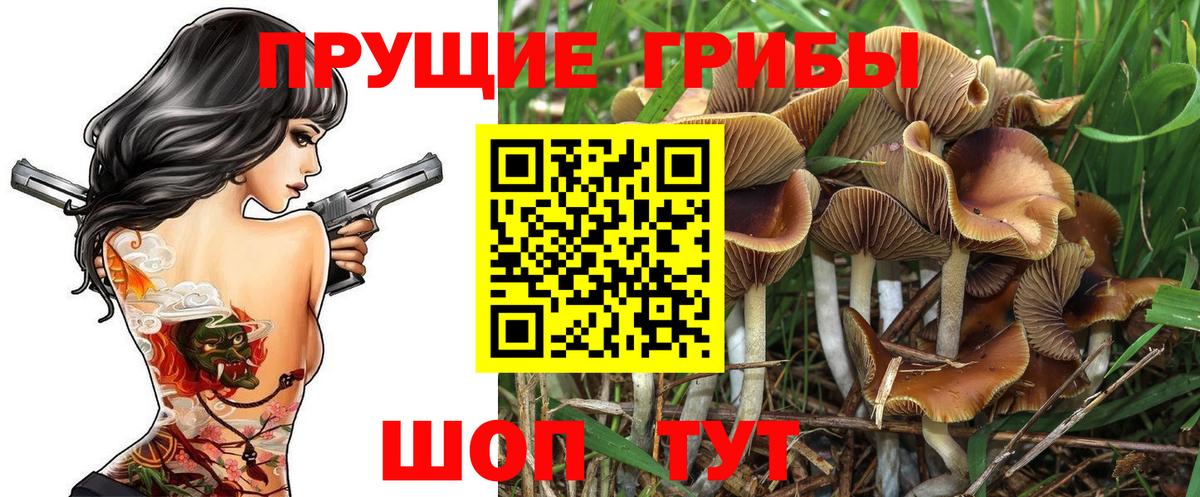 Галлюциногенные грибы Magic Shrooms Вичуга